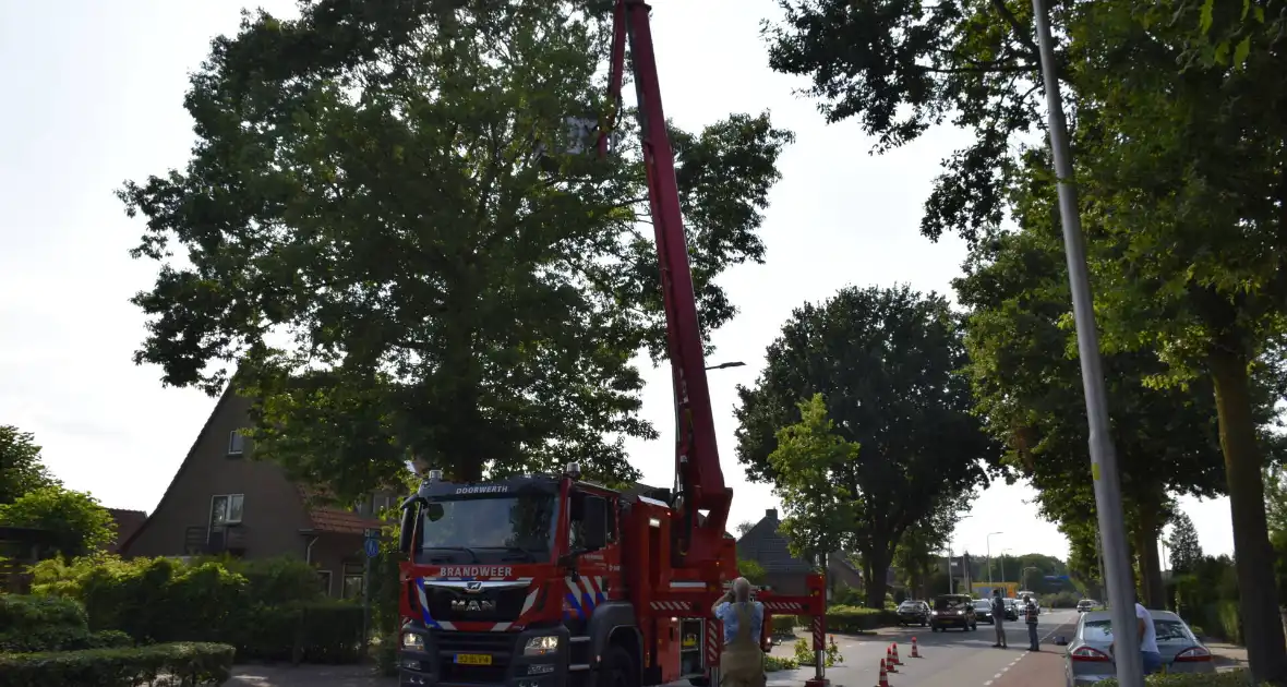 Brandweer verwijdert gevaarlijk hangende tak - Foto 2