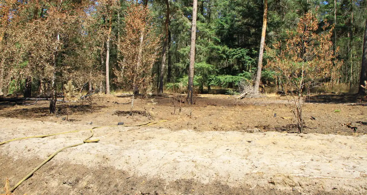 Stuk bosgebied in brand - Foto 2