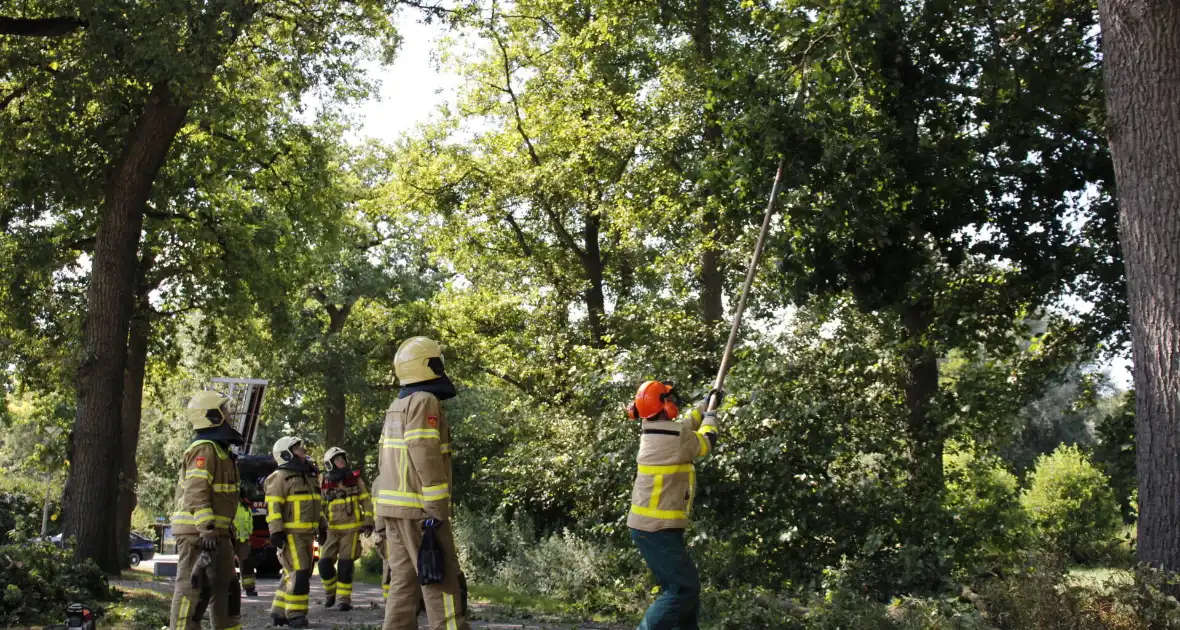 Brandweer haalt gevaarlijk hangende takken uit boom - Foto 3