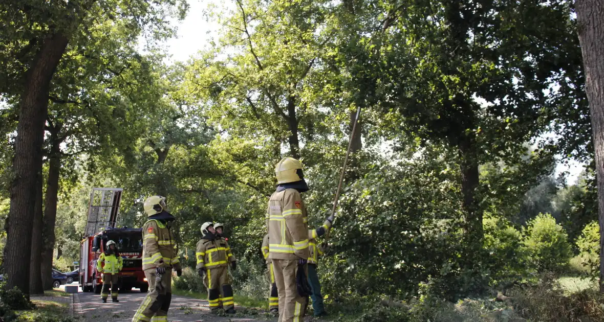 Brandweer haalt gevaarlijk hangende takken uit boom - Foto 4