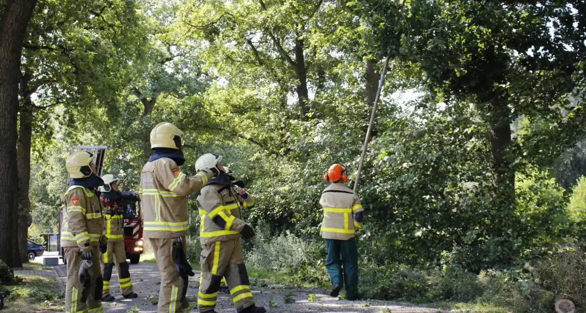 Brandweer haalt gevaarlijk hangende takken uit boom - Foto 5
