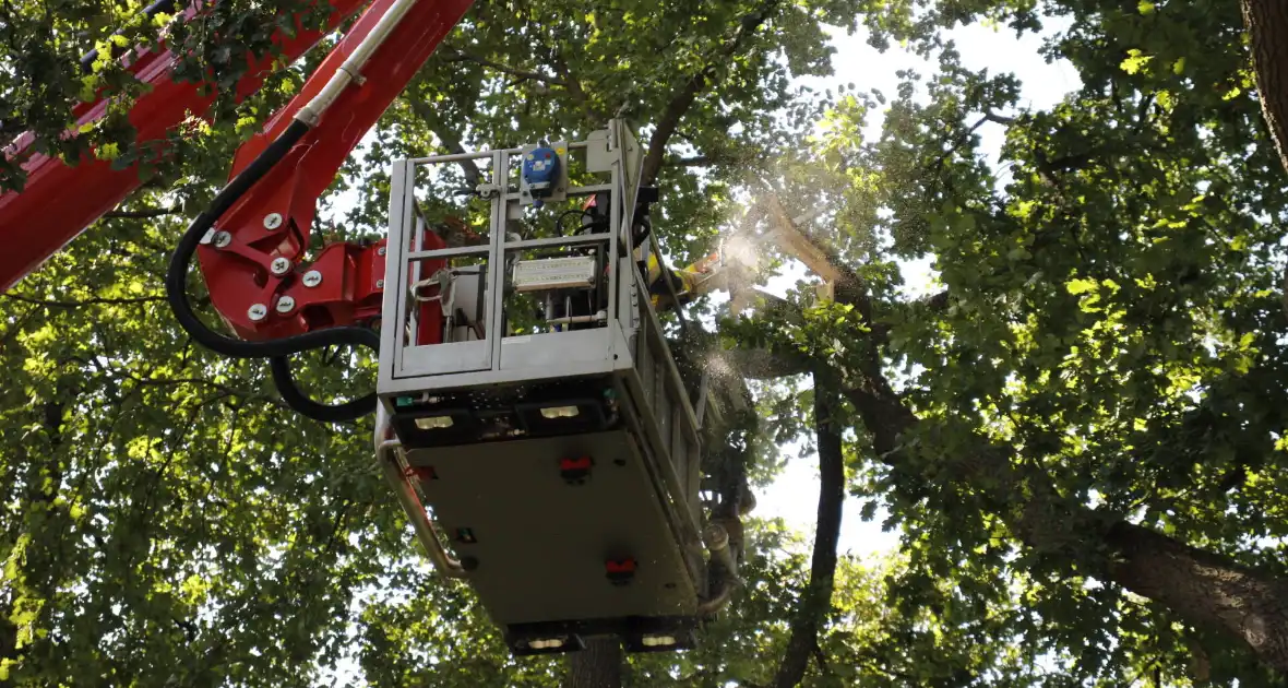 Brandweer haalt gevaarlijk hangende takken uit boom - Foto 6
