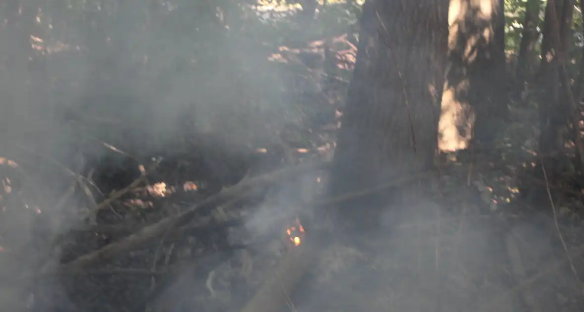 Brand in bosgebied snel geblust - Foto 1