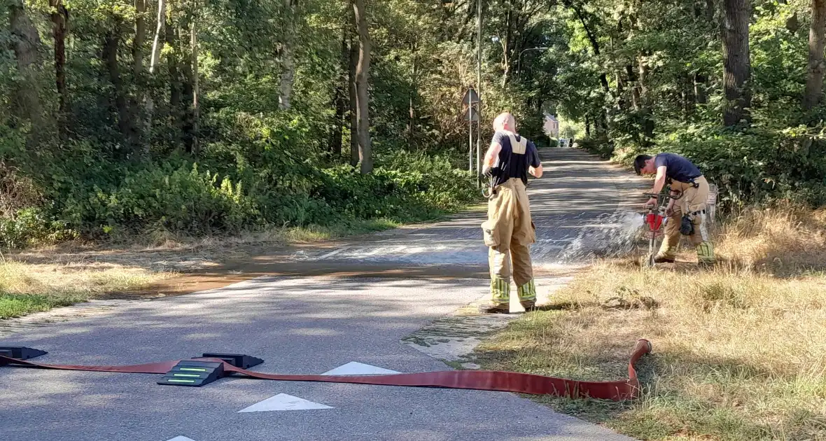 Grote schade bij heidebrand - Foto 6