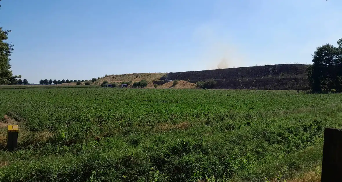 Grote schade bij heidebrand - Foto 8