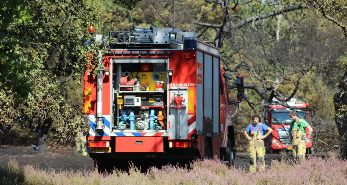 Natuurbrand snel onder controle - Foto 1