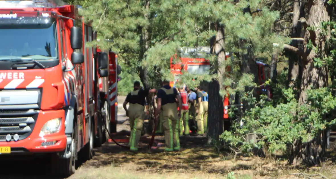 Natuurbrand snel onder controle - Foto 2