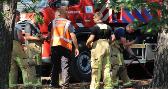 Natuurbrand snel onder controle - Afbeelding 5