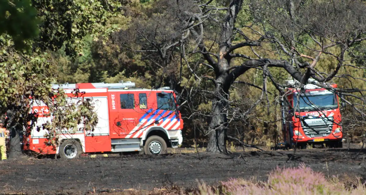 Natuurbrand snel onder controle - Foto 6