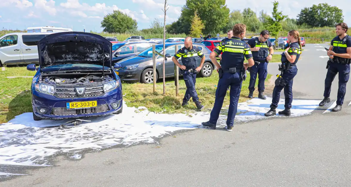 Gestolen auto vliegt in brand