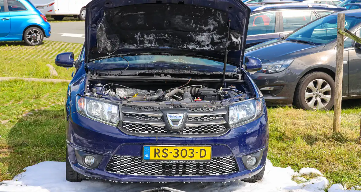 Gestolen auto vliegt in brand - Foto 1