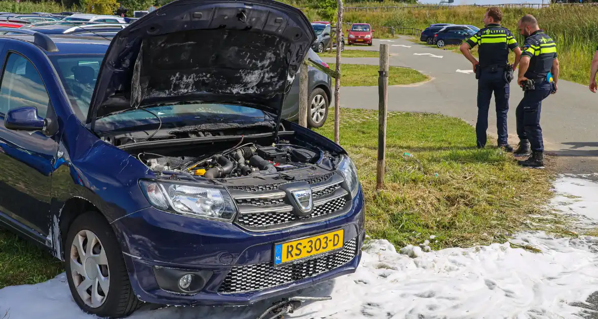 Gestolen auto vliegt in brand - Foto 2