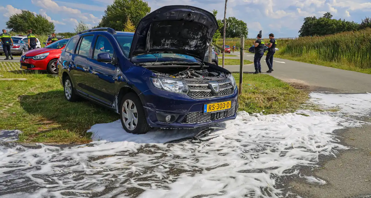 Gestolen auto vliegt in brand - Foto 3