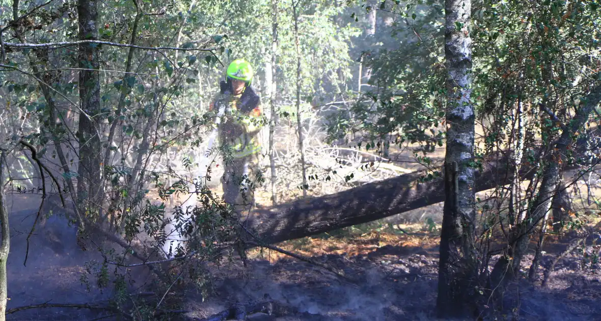 Politiehelikopter ontdekt beginnende bosbrand - Foto 10
