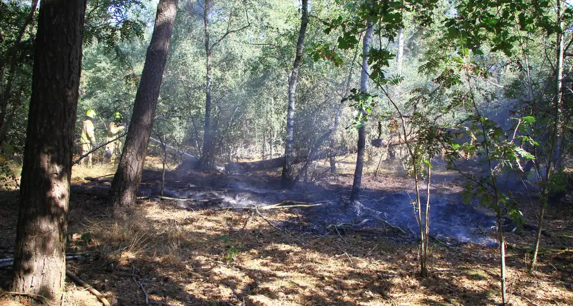 Politiehelikopter ontdekt beginnende bosbrand - Foto 3