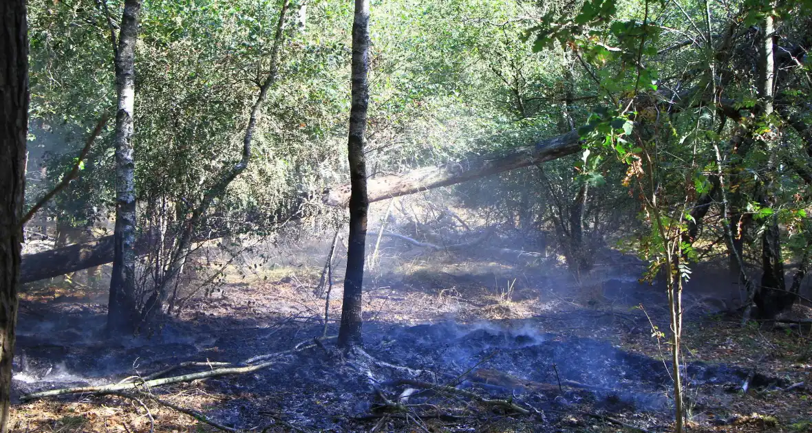 Politiehelikopter ontdekt beginnende bosbrand - Foto 9