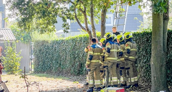 Kinderen vast in boom, brandweer schiet te hulp - Afbeelding 1