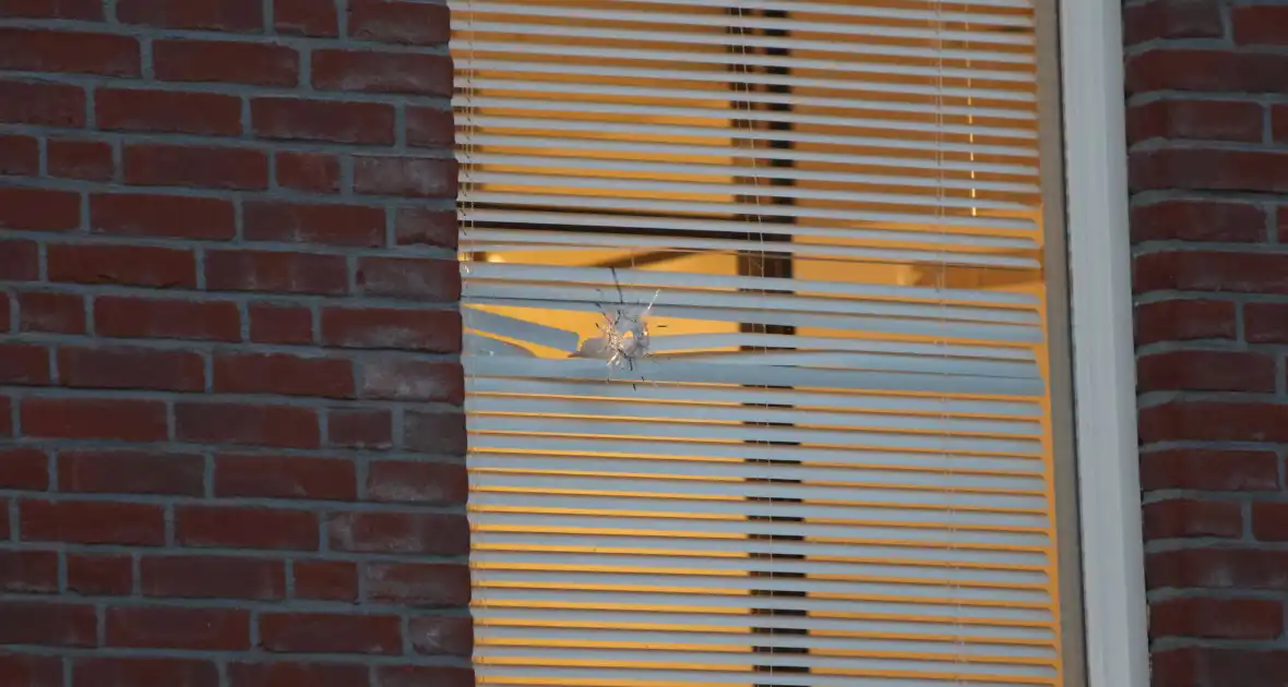 Schoten gelost op raam van woning - Foto 10