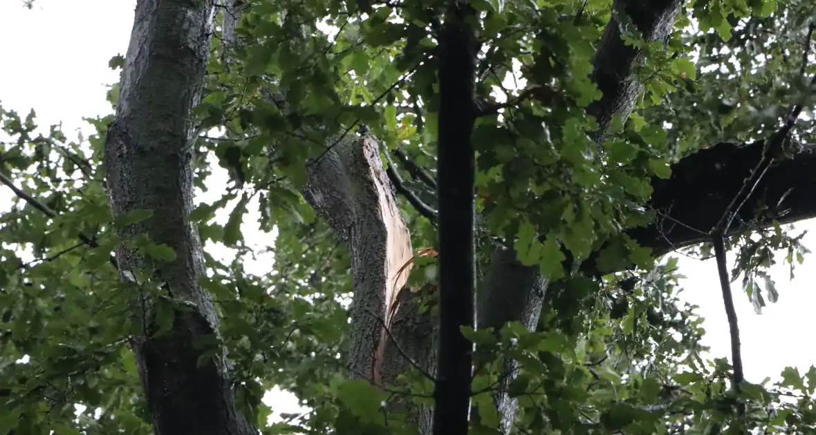 Gebied afgezet wegens stormschade - Foto 4