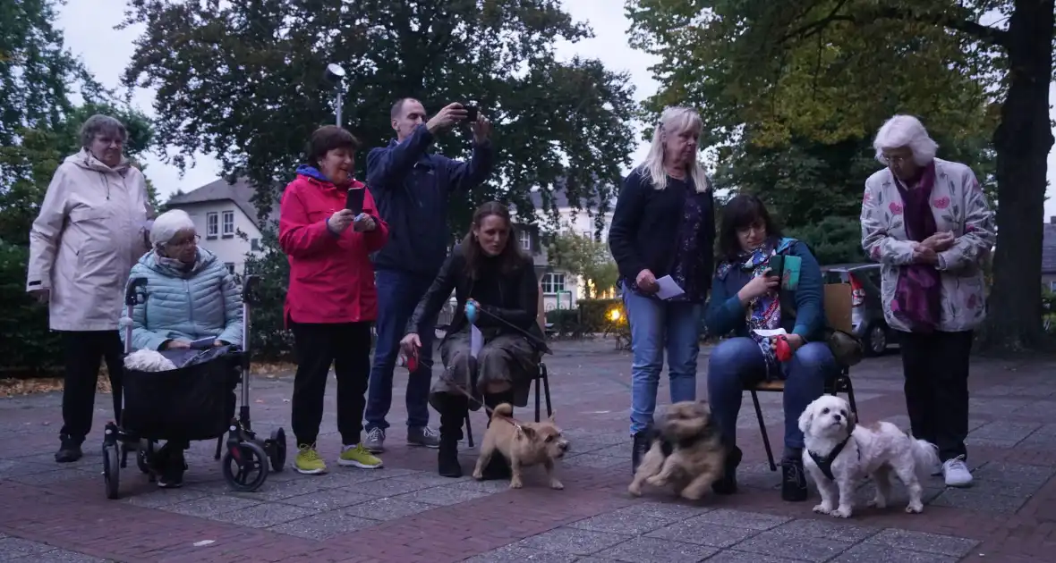 Huisdieren krijgen zegening op Dierendag - Foto 11