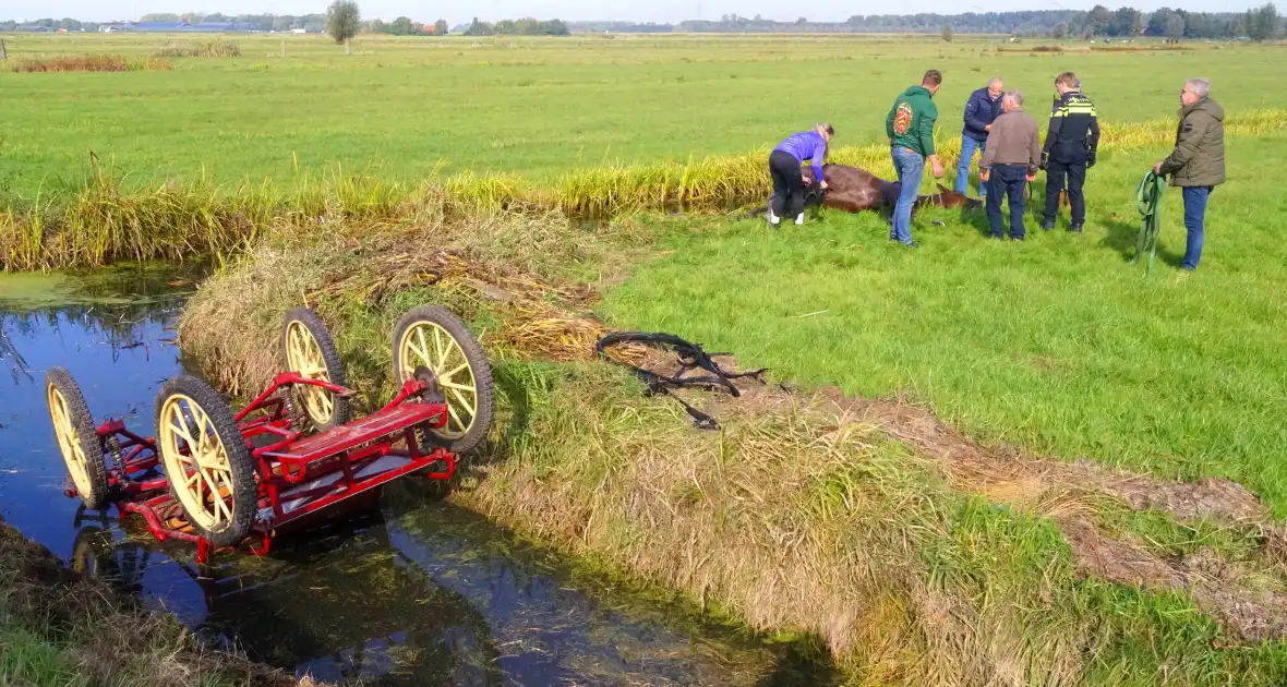 Paard met menwagen belanden in sloot