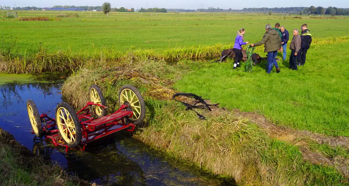 Paard met menwagen belanden in sloot - Foto 1