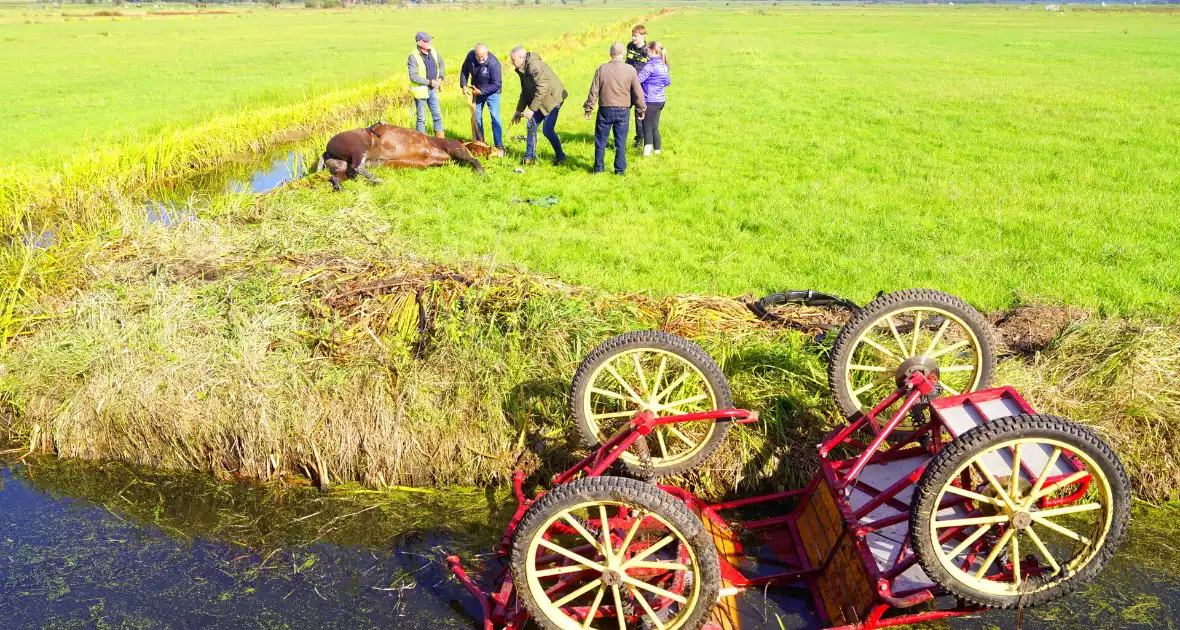 Paard met menwagen belanden in sloot - Foto 3