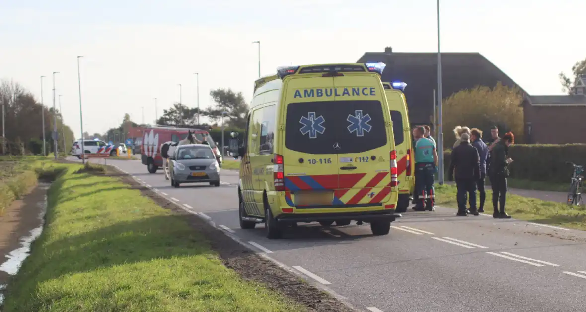 Zeer ernstig ongeval met paarden - Foto 2