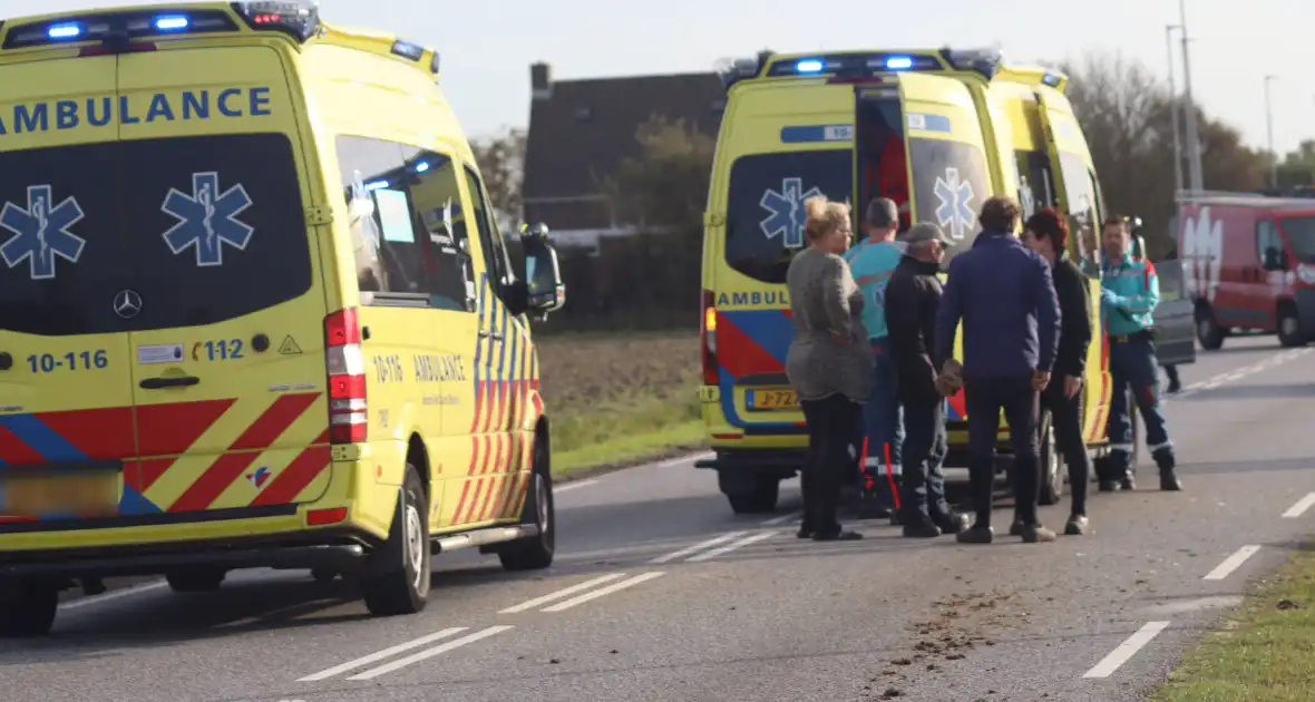 Zeer ernstig ongeval met paarden - Foto 3