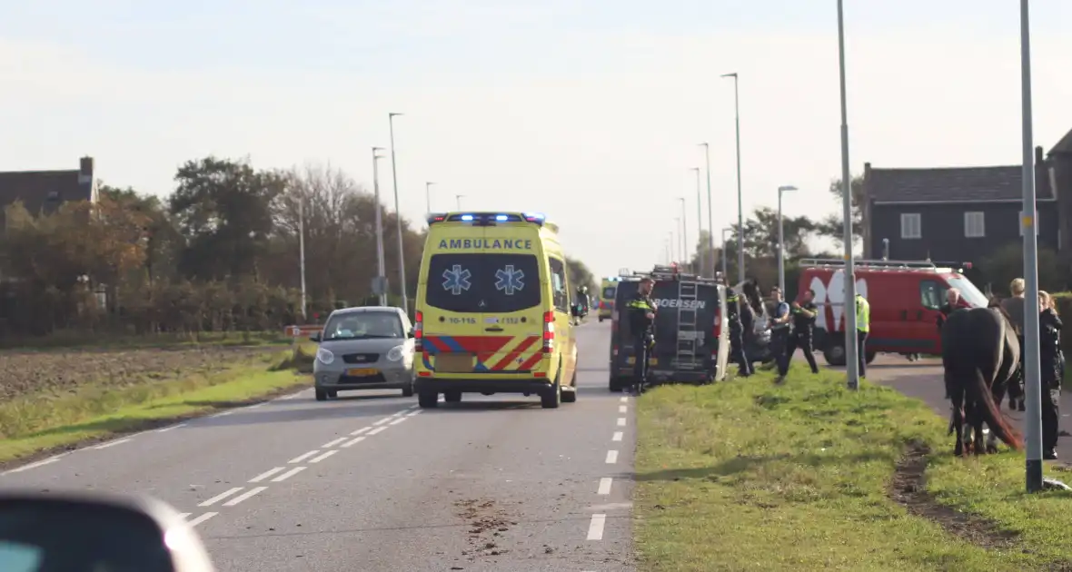 Zeer ernstig ongeval met paarden - Foto 6