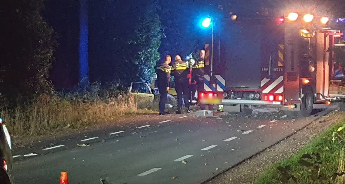 Bestuurder botst frontaal op boom