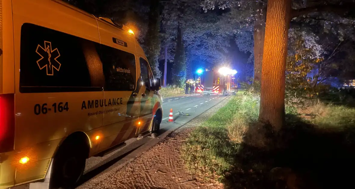 Bestuurder botst frontaal op boom - Foto 1