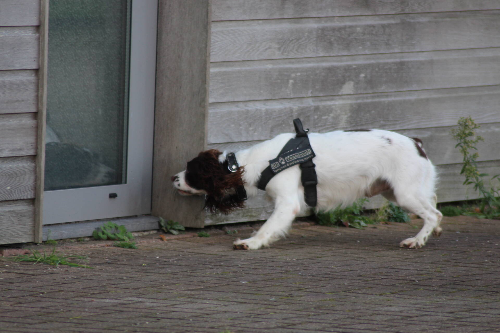 Preventieve drugscontrole bij loodsen op industrieterrein | 112-nu.nl