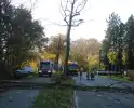 Voertuig beschadigd door omgevallen boom