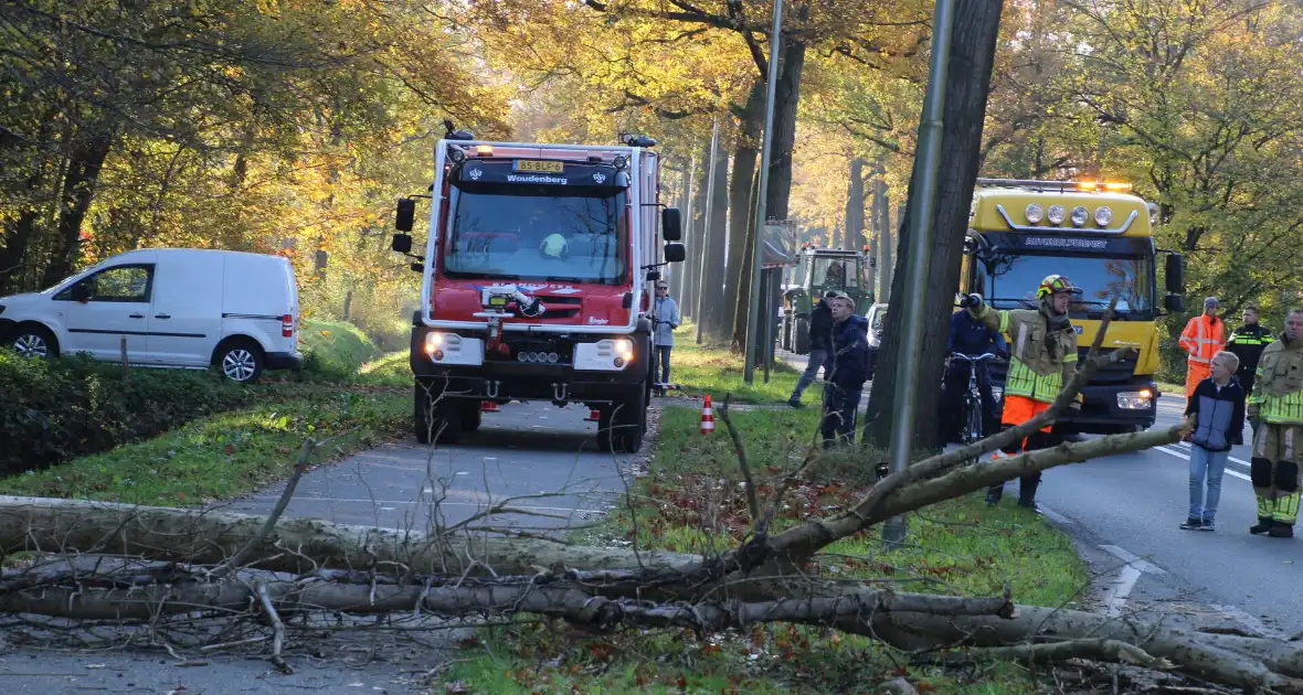 Voertuig beschadigd door omgevallen boom - Foto 2