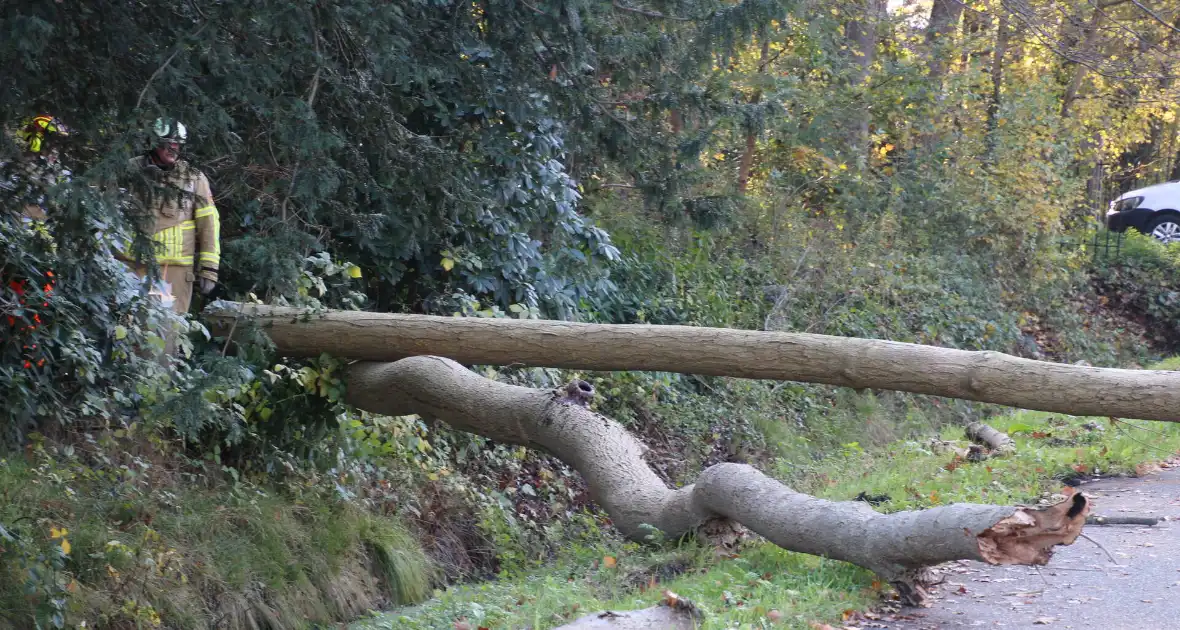 Voertuig beschadigd door omgevallen boom - Foto 4