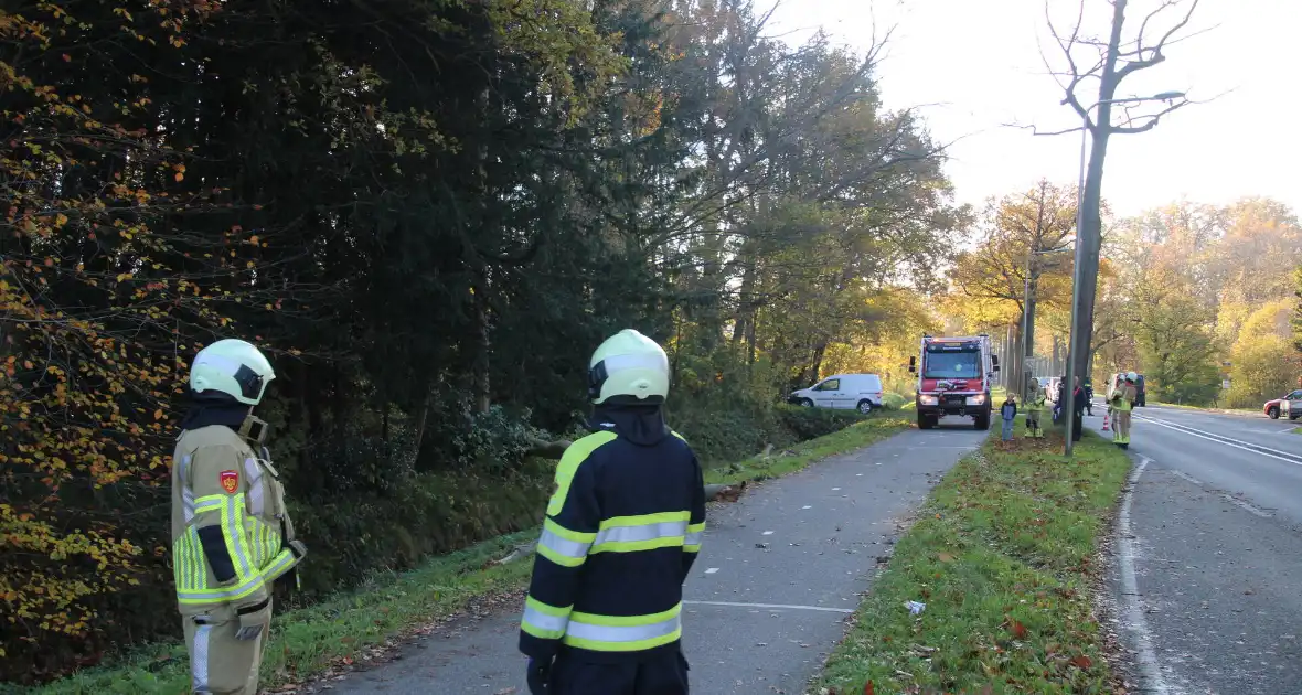 Voertuig beschadigd door omgevallen boom - Foto 5