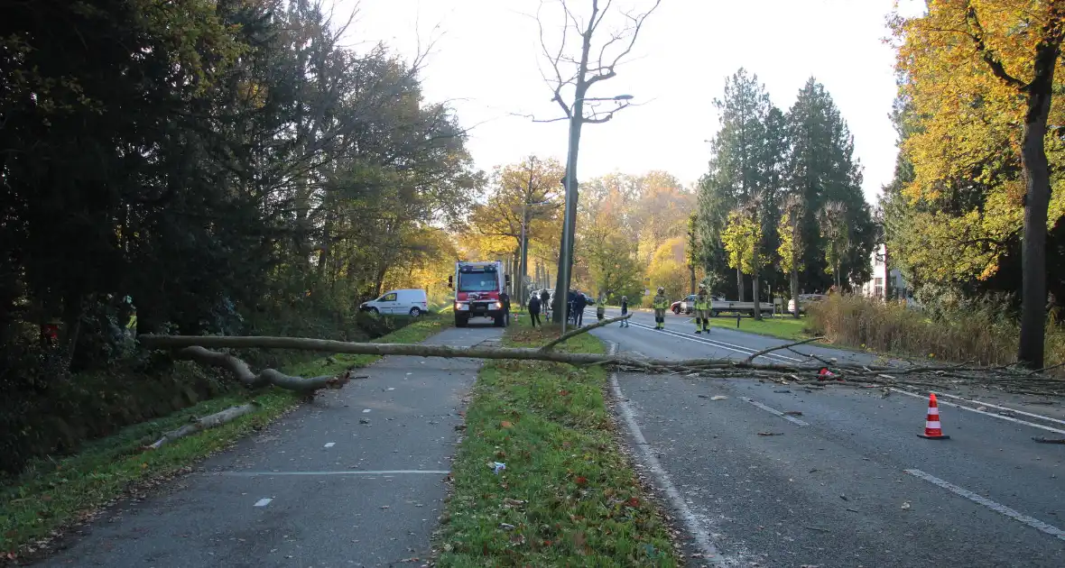 Voertuig beschadigd door omgevallen boom - Foto 6