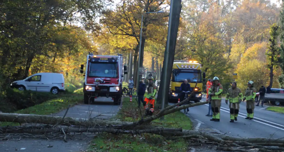 Voertuig beschadigd door omgevallen boom - Foto 7