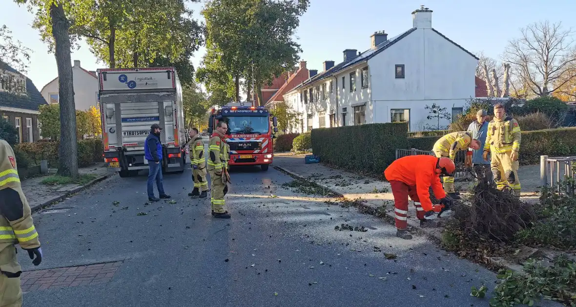 Vrachtwagen ramt boom bij uitwijkmanoeuvre - Foto 1