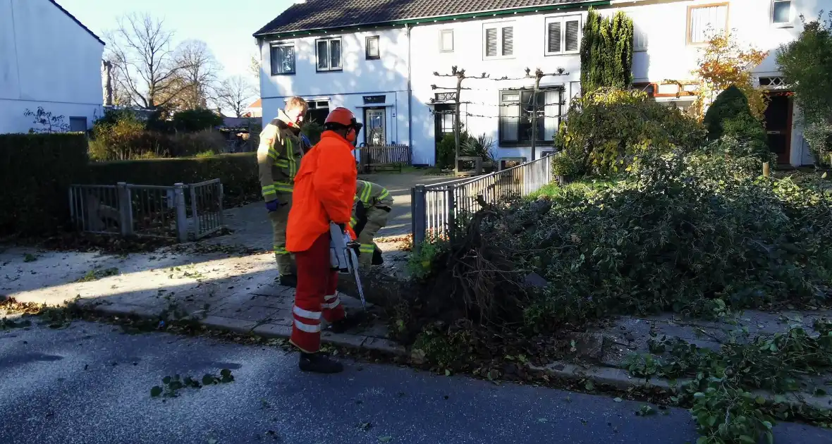 Vrachtwagen ramt boom bij uitwijkmanoeuvre - Foto 2