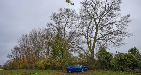 Automobilist raakt van weg en botst frontaal tegen boom - Afbeelding 1