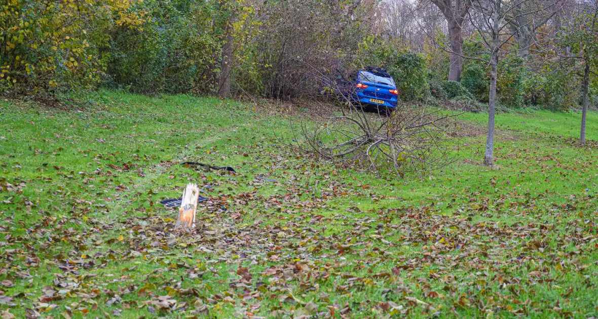 Automobilist raakt van weg en botst frontaal tegen boom - Foto 2