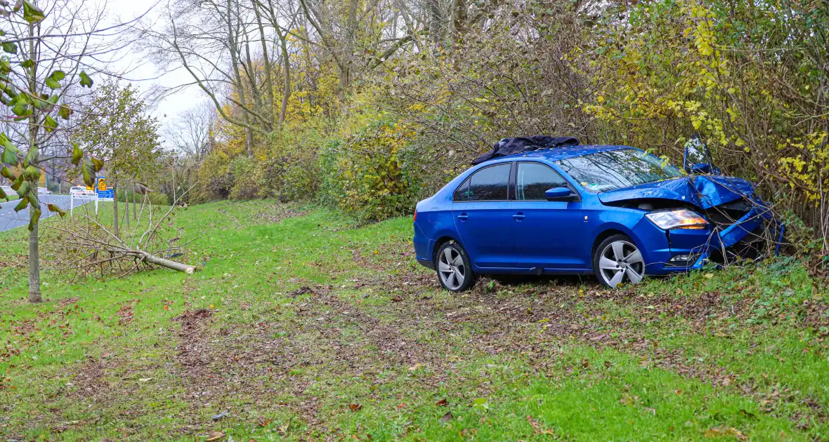 Automobilist raakt van weg en botst frontaal tegen boom - Foto 4