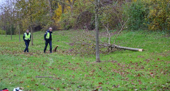 Automobilist raakt van weg en botst frontaal tegen boom - Afbeelding 5