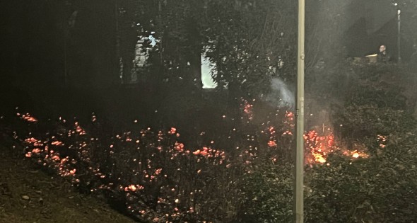 Buurtbewoners doen bluspoging brandende heg