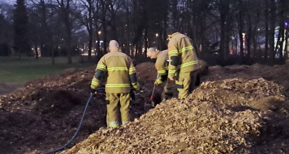 Brand in berg met bladeren - Afbeelding 3