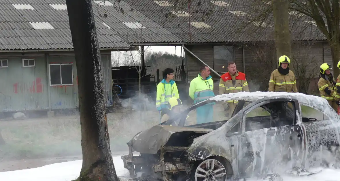 Auto vat vlam na frontale botsing tegen boom - Foto 10