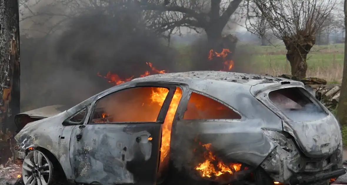 Auto vat vlam na frontale botsing tegen boom - Foto 13