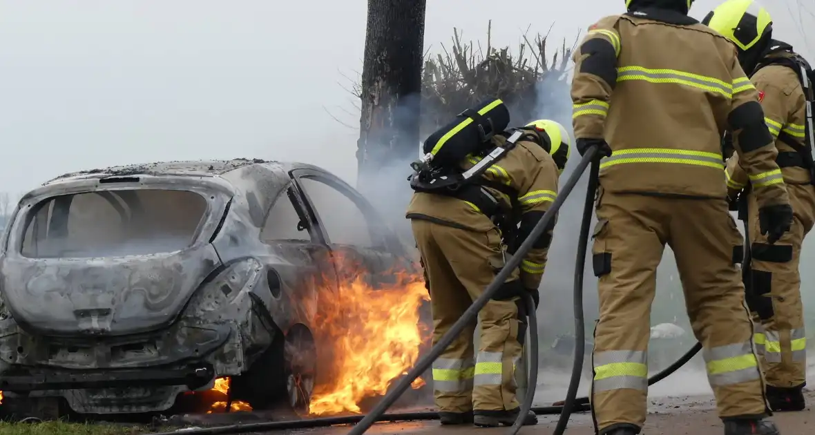 Auto vat vlam na frontale botsing tegen boom - Foto 15